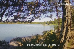 192.168.2.226_01_20180614110000934_TIMING