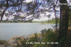 192.168.2.226_01_20180619150000347_TIMING