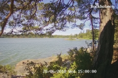 192.168.2.226_01_20180620150000395_TIMING