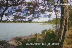 192.168.2.226_01_20180626110000443_TIMING