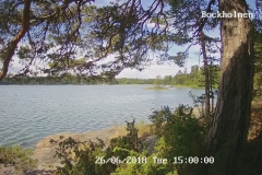 192.168.2.226_01_20180626150000423_TIMING