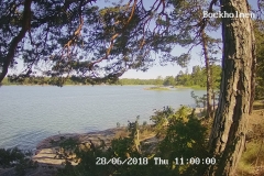 192.168.2.226_01_20180628110000124_TIMING